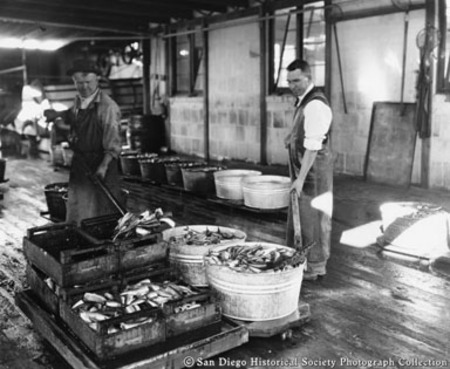 Two men scooping fish out of washtubs at Neptune Sea Food Company