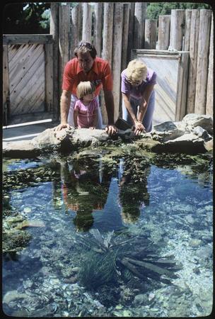 Tide pool at Scripps Aquarium