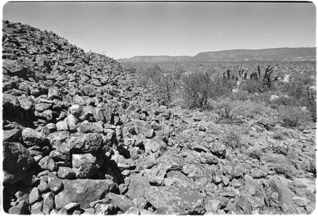 Prehistoric hunting blinds