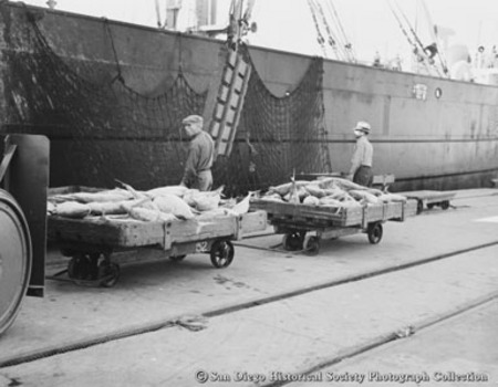Two men standing with flat carts of tuna near docked freighter