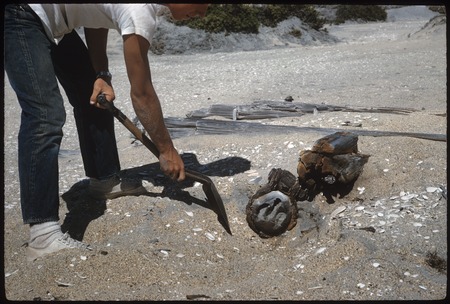 Johnny Cox and deadeye found on beach between Punta María and Punta Cono