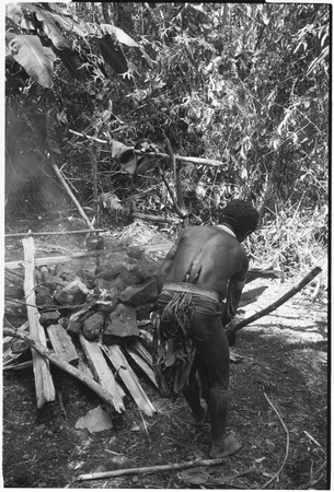 Pig festival, pig sacrifice, Tsembaga: oven stones heated on fire at ancestral shrine