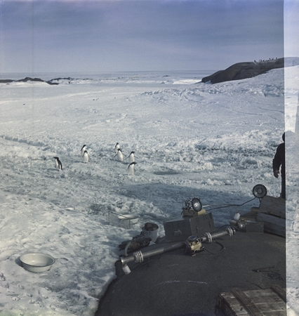 Underwater photography gear on rocks with Adelie penguins, near the balok