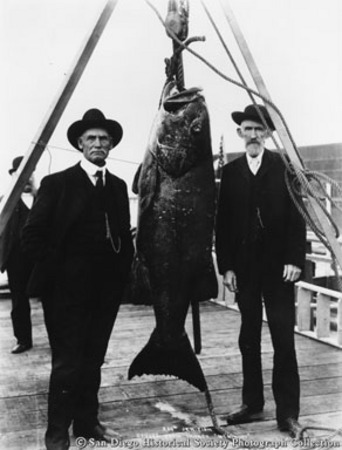 [Two men posing with sea bass caught from launch McKinley]