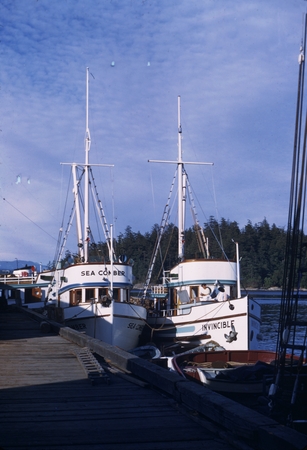Fishing boats at F.H. [Friday Harbor] VIII-12-50 1730