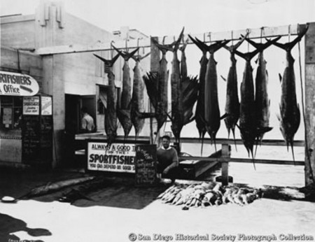 Man posing with one-day&#39;s catch of marlin, swordfish, and tuna from Sportfisher II
