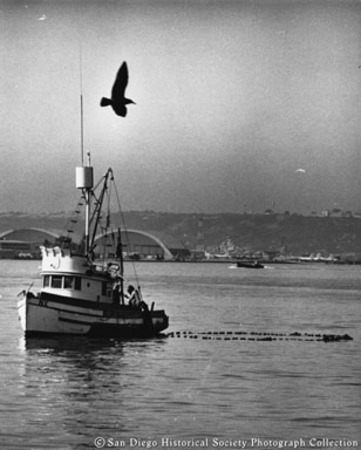 Fishing boat N.Y. streaming net on San Diego Bay with gull flying above