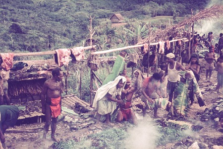 Preparing an earth oven, slabs of pork and other foods hang from poles in background