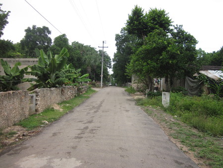 Road and Maya Houses