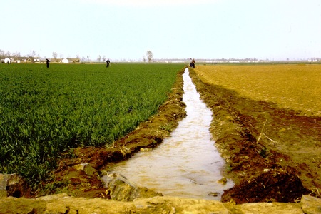 Irrigation canal (2 of 3)