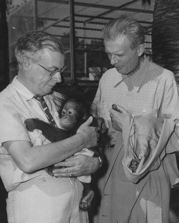 Julian S. Huxley (left) and Aldous L. Huxley with a baby orangutan named Noel, San Diego Zoo