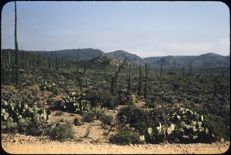 Near El Arenoso