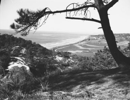 View of coastline from hill at Torrey Pines Beach