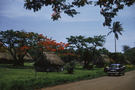 Fale village, believed to be in Fiji, taken by Alan C. Jones during a break from the Capricorn Expedition (1952-1953). 1953.