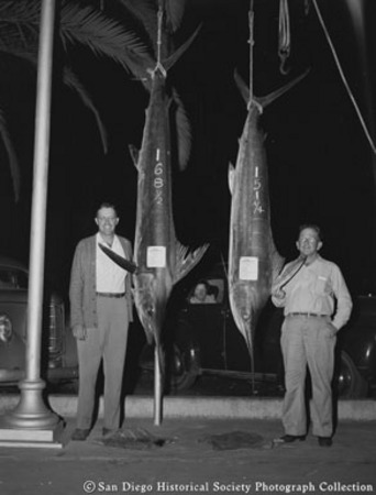 Two men posing with marlins at H &amp; M Sport Fishing