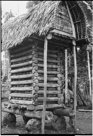 Yam house of the chief, Omarakana: filled with yams, rests on coral boulders