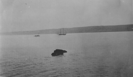 Large ship with mast is the yacht &quot;Loma&quot;, given to the Marine Biological Association of San Diego by E.W. Scripps. Scripps...