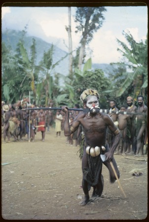 Pig festival, pig sacrifice, Kwiop: Ygaina charges a boundary fence with spear and axe in ritual aggression