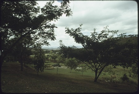 Port Moresby: grounds of the University of Papua New Guinea