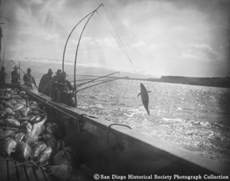 Fishermen landing tuna with two-pole rig