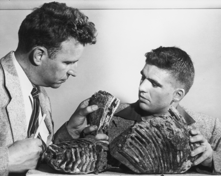 Robert Sinclair Dietz and Robert Floyd Dill with Columbrian Mammoth Tooth, Recovered by diving in 6 M water off Seal Beach...