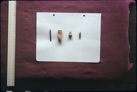 Artifacts from archaeology dig, Society Islands