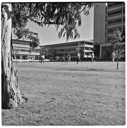 Students playing football on lawn outside Urey Hall