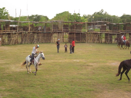 Rodeo preparations for fiesta San Juan Koop 01