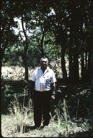 Portrait of a man with forest in background.