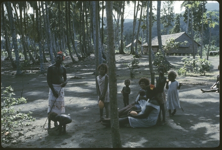 People in a clearing near a house