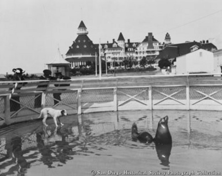 Seal pool at Hotel del Coronado
