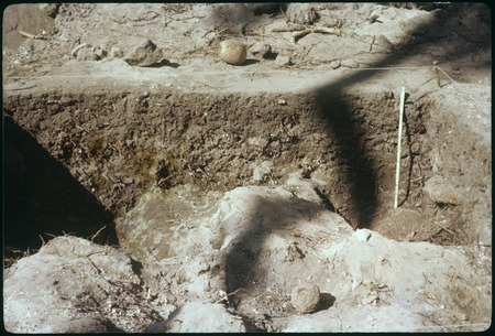 Hauiti archaeological excavation: X-49, East wall