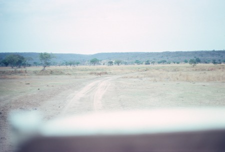 View from top of pick-up truck at Sumbu Game Park