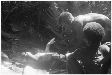 Butchering the sacrifical pig, Kwailala&#39;e.