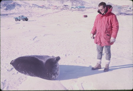 Paul Dayton and Weddell seal, near McMurdo Station, Antarctica. 1963