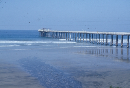 The wooden Scripps Pier, 1,000 feet long, built in 1915-16 and used until 1988, when the new reinforced-concrete pier was ...