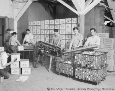 Men boxing cans of tuna in shipping department at Westgate Sea Products Company cannery
