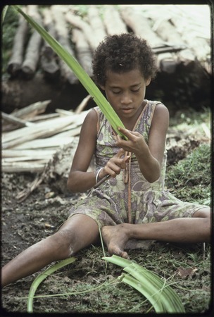 Weaving: girl strips spines from edges of pandanus leaves