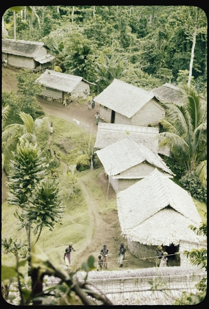 Houses in a village
