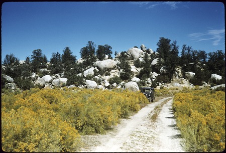 Landscape in the Sierra Juárez