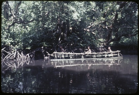 Boys on canoe near mangrove roots