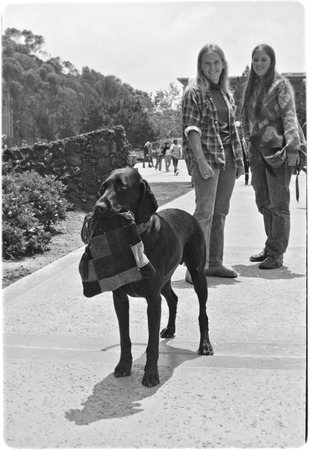 Students and dog in Revelle Plaza
