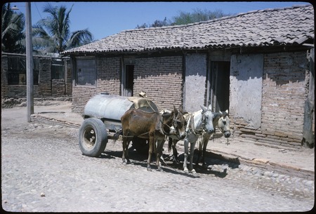 Water vendor in Túxpan