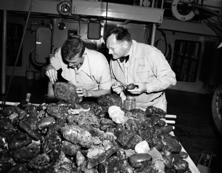 Fred Ziesenhenne Echinoderm man, examines rock haul for specimens. Verlero IV, Channel Islands