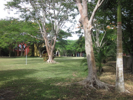 Hacienda Dzina house and grounds 02