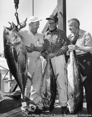Three men weighing catch of tuna