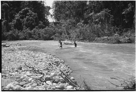 Ambaiat-Windebagu trail: carriers cross Ajimamp or Aunjang River with cargo on poles