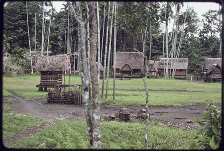 Wawela village clearing with small yam house (l), houses