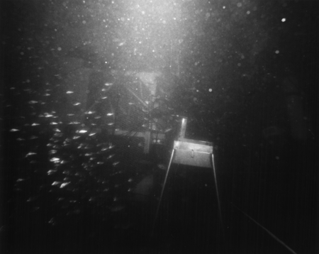 A cloud of marine life almost obscures the shark cage entrance to SeaLab II. The platform in the foreground is a stand for...