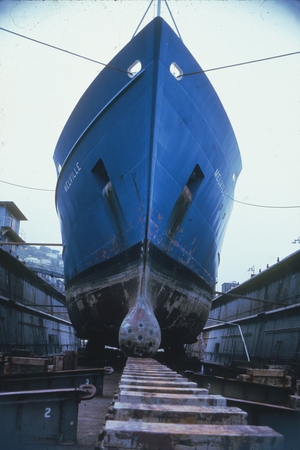 Ceylon Polynerua, Melville Shots, 1971 [R/V Melville in dry dock]